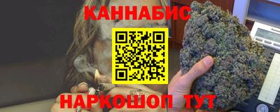 индика Заводоуковск