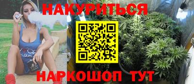 индика Заводоуковск