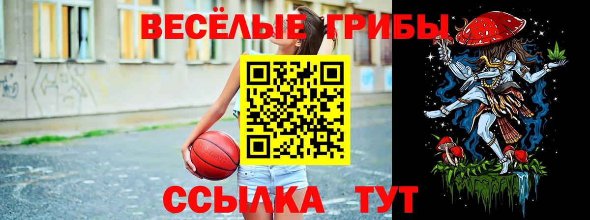 магазин  наркотиков  Галлюциногенные грибы Magic Shrooms  Вход с VPN  Ковров 